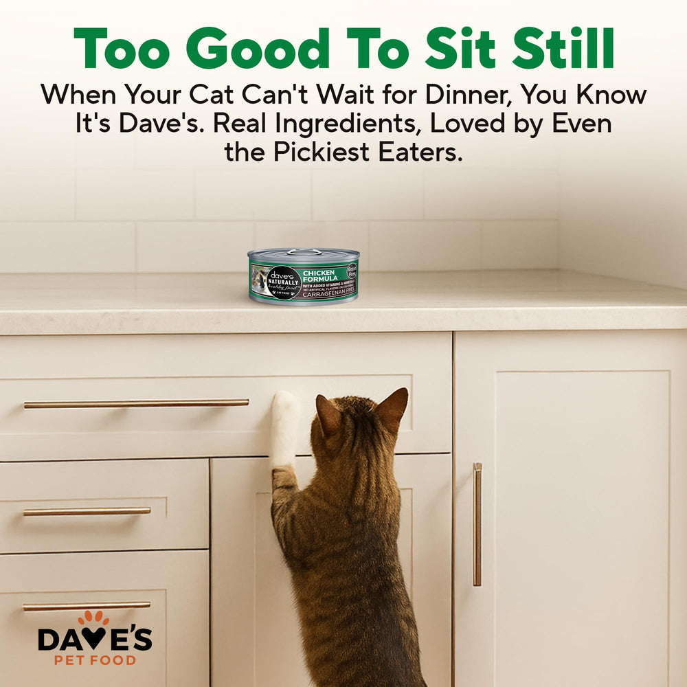 Dave's Pet Food 24-pack cans on shelf, value pack for regular meals