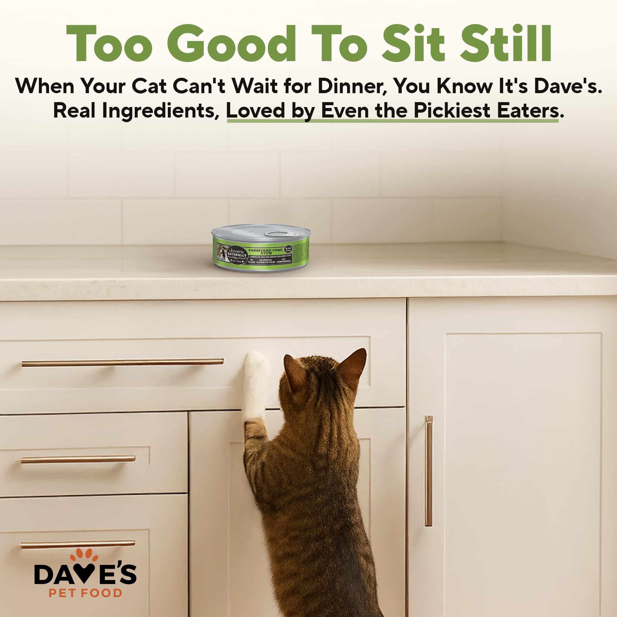 Dave's Pet Food AAFCO compliant seal visible
