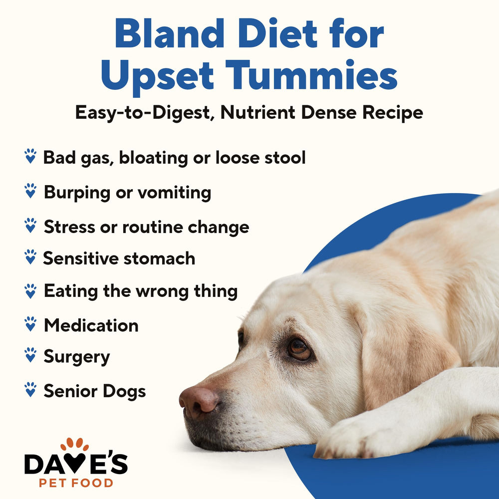 Dave's Pet Food Bland Diet chicken and rice label with ingredients and nutrition information.