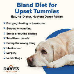 Dave's Pet Food Bland Diet chicken and rice label with ingredients and nutrition information.