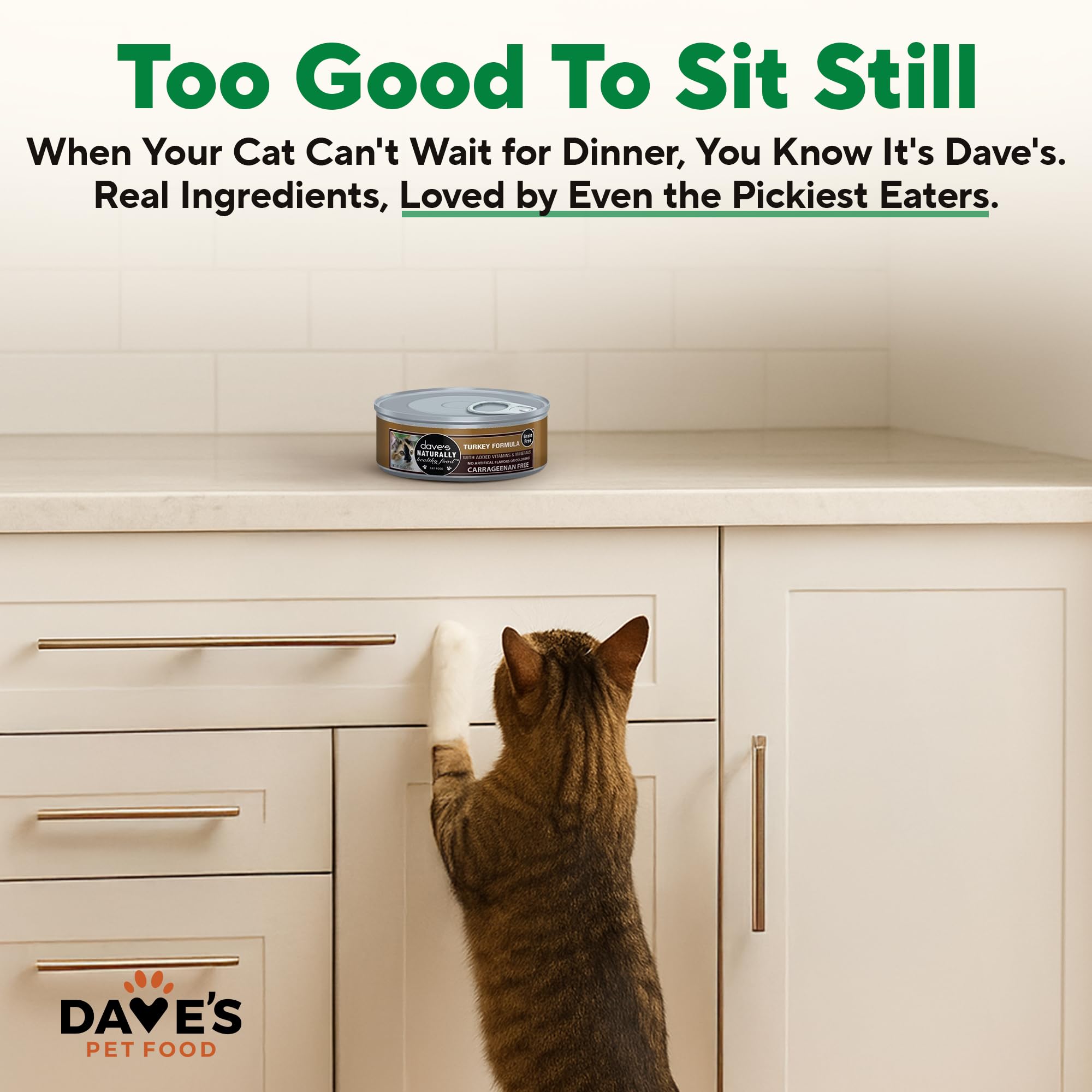 Dave's carrageenan-free wet cat food can image, comfort for sensitive stomachs