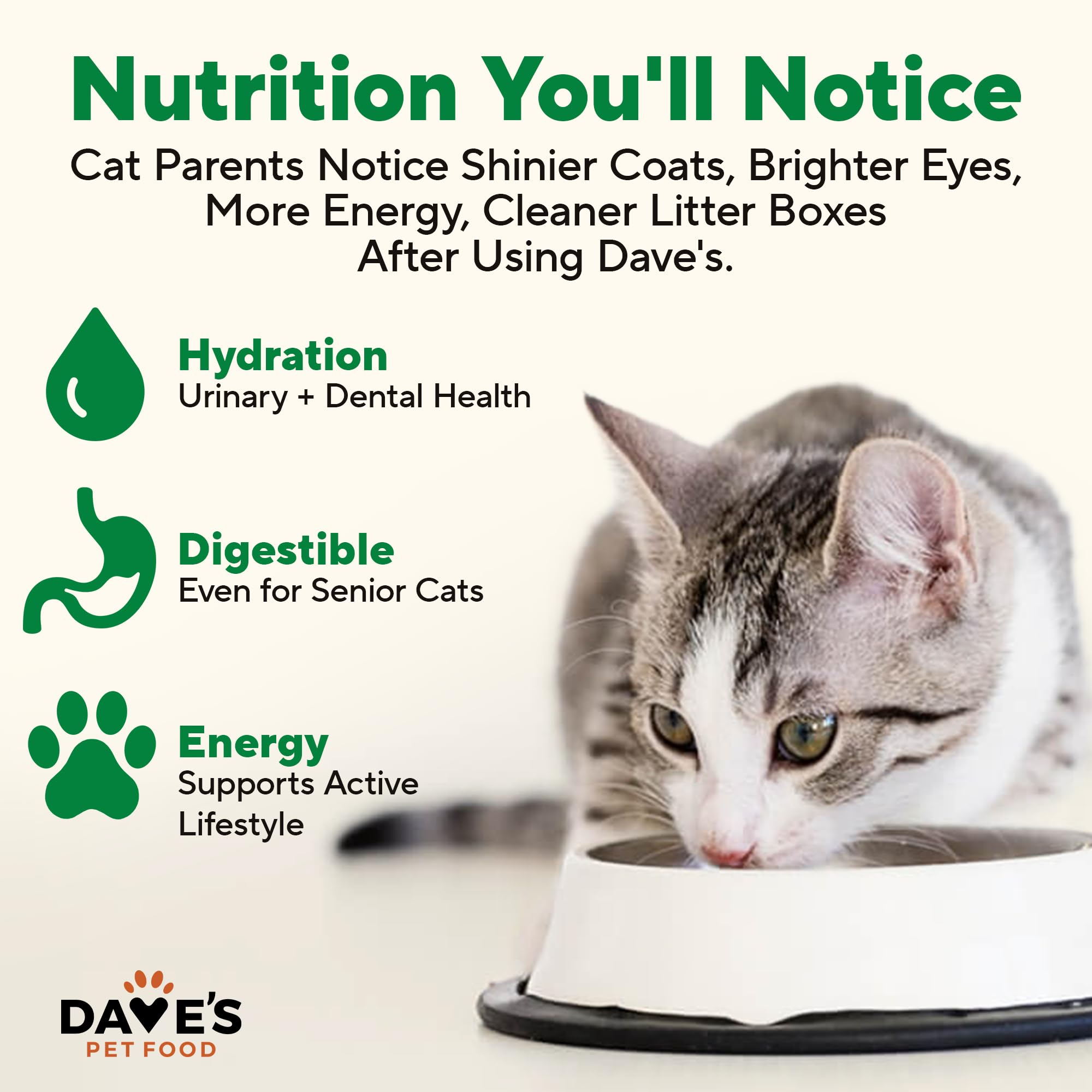 Cat enjoying pate texture featuring Dave's Pet Food product.