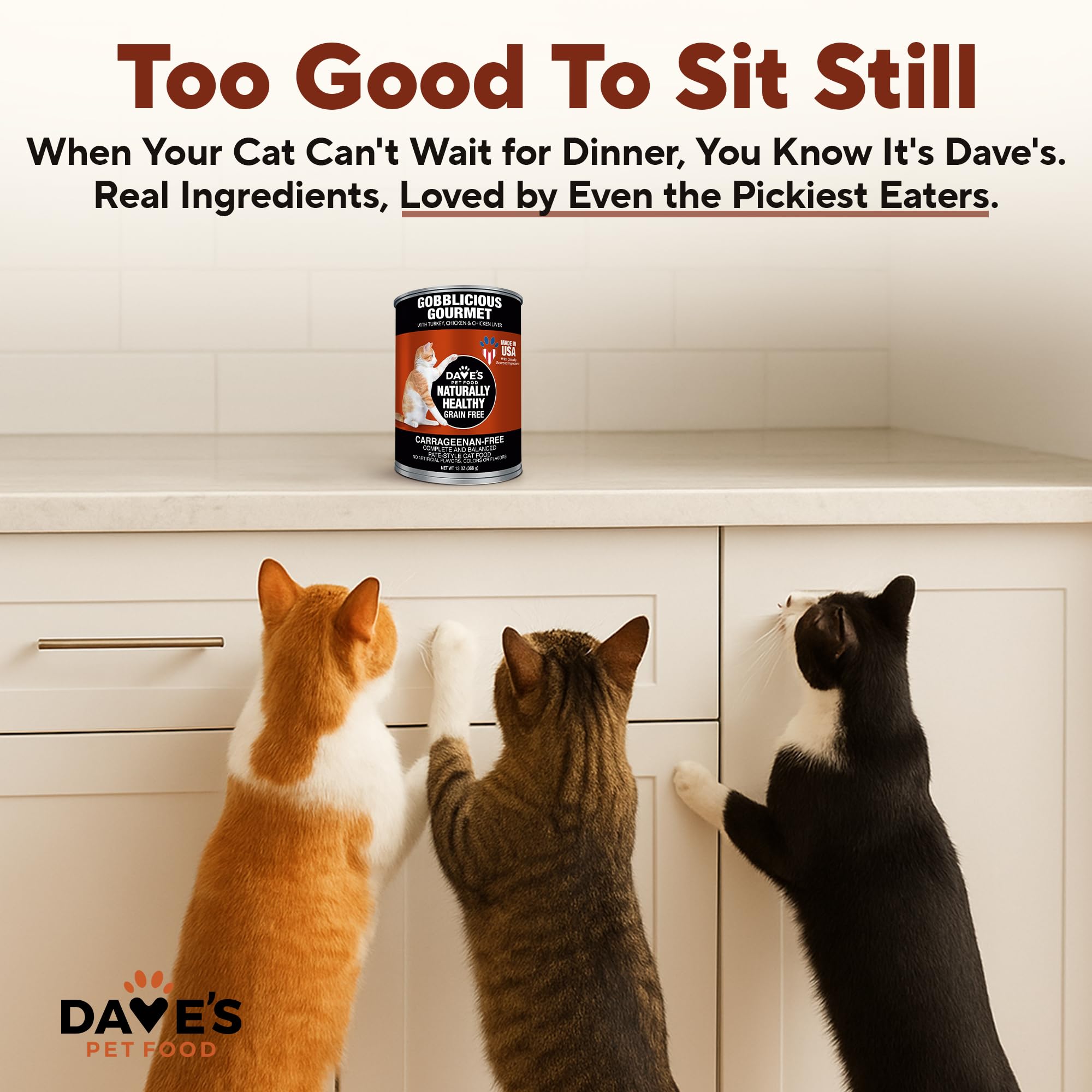 Cat enjoys Gobblicious Gourmet pate from a bowl