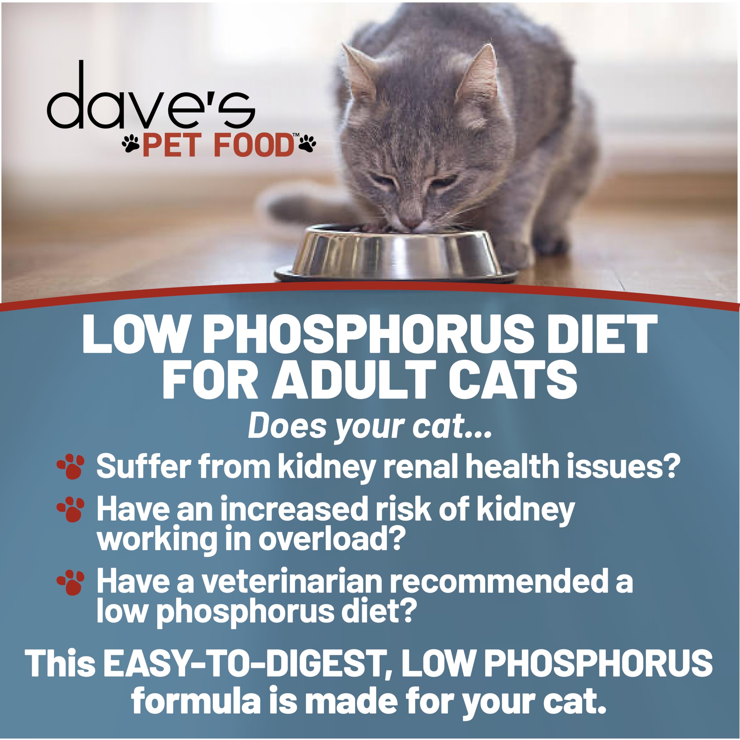 Dave's Pet Food Kidney Support Stew tin packaging highlights a low phosphorus recipe.