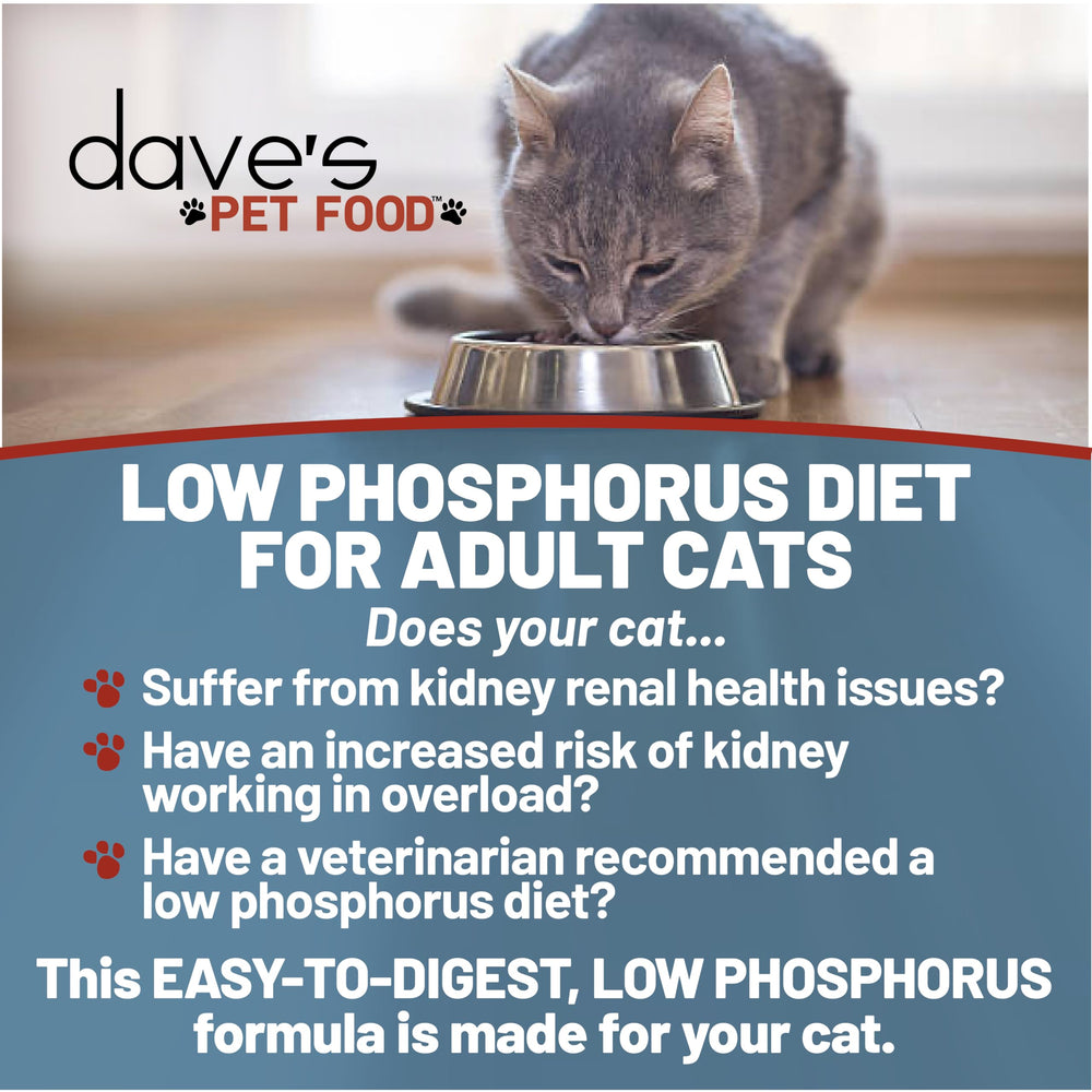 Dave's Pet Food Kidney Support Stew tin packaging highlights a low phosphorus recipe.