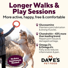 Dave's Pet Food real chicken first ingredient helps muscle maintenance and flavor.