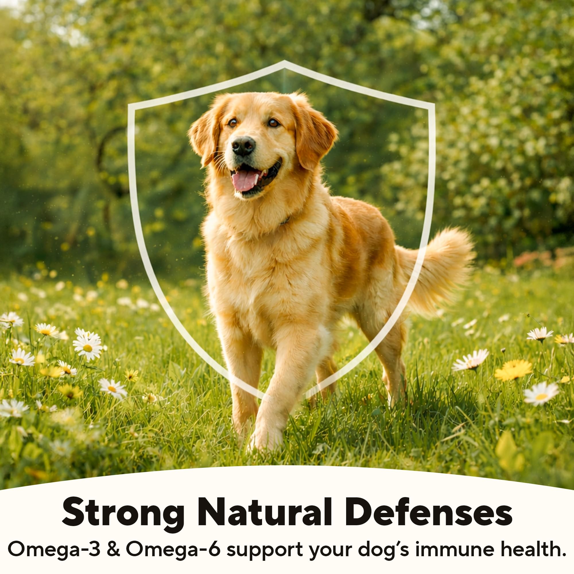 Dave's Pet Food made in USA with clean ingredients and organ meats.