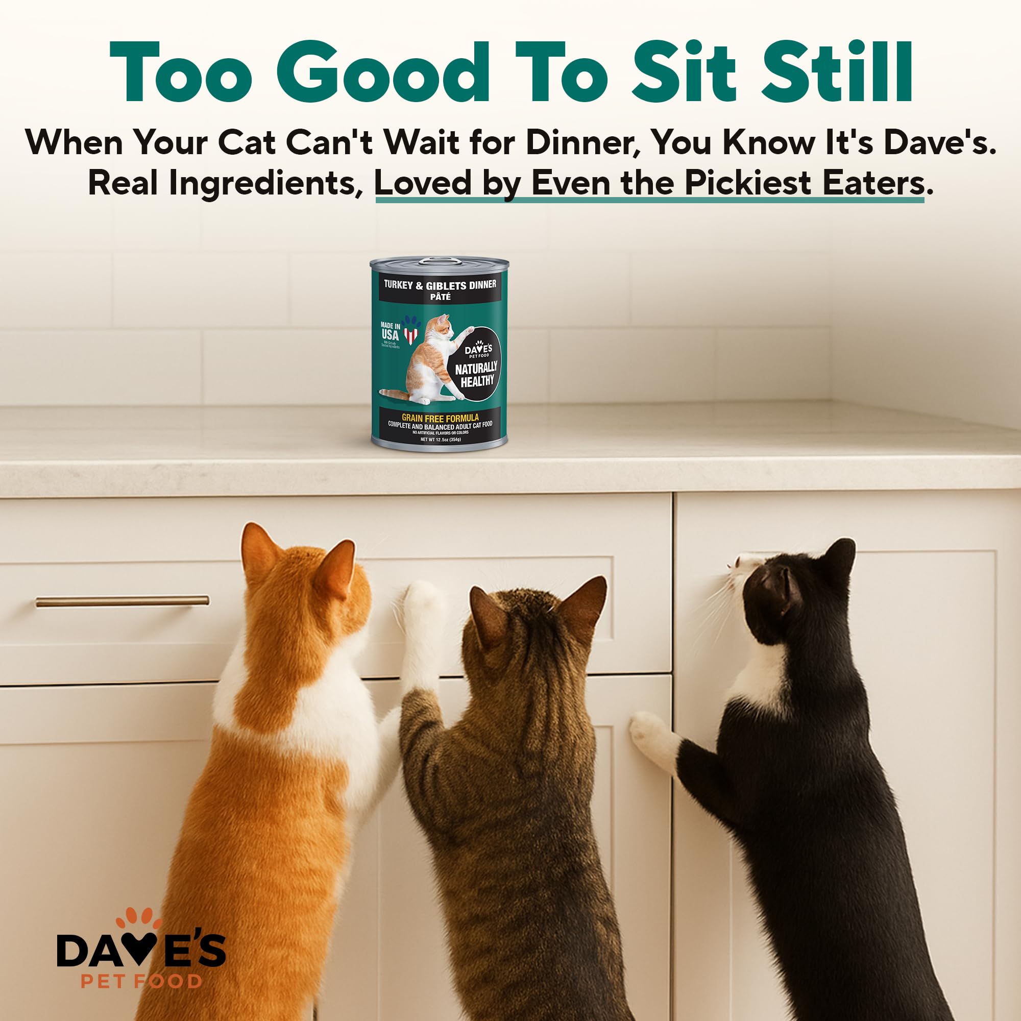 Dave's Pet Food pate nutrition label informs portioning and balanced meals.