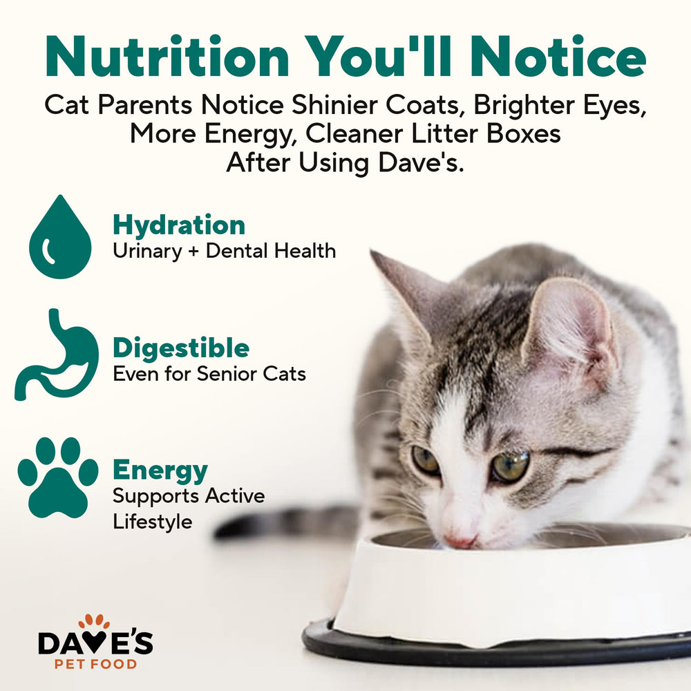Dave's Pet Food grain-free pate packaging highlights value with a 12-pack.