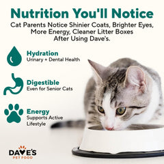 Dave's Pet Food grain-free pate packaging highlights value with a 12-pack.