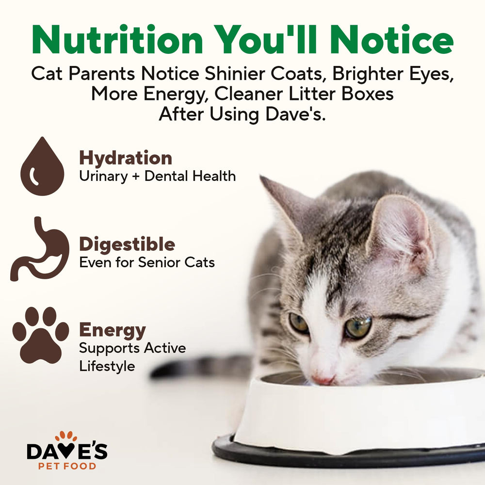 Dave's grain-free wet cat food can, USA-made, no grains