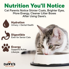 Dave's grain-free wet cat food can, USA-made, no grains