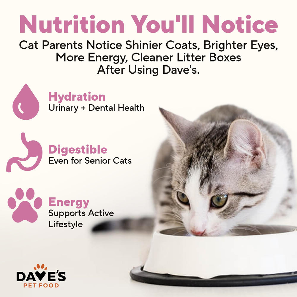 Cat enjoying pate, illustrating hydration-friendly wet food feeding.