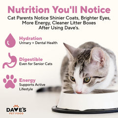 Cat enjoying pate, illustrating hydration-friendly wet food feeding.