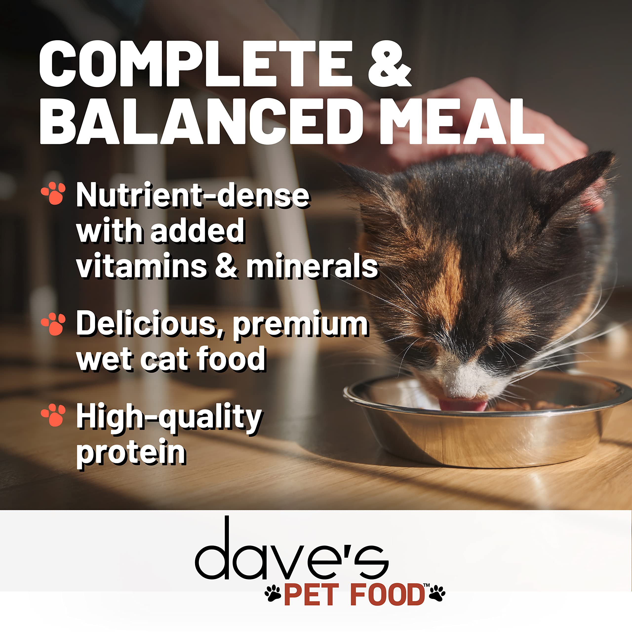 Serving Dave's Pet Food at room temperature for easy, palatable feeding.