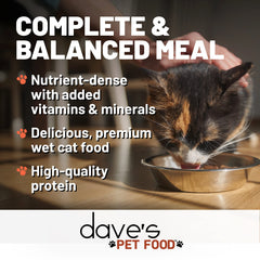 Serving Dave's Pet Food at room temperature for easy, palatable feeding.