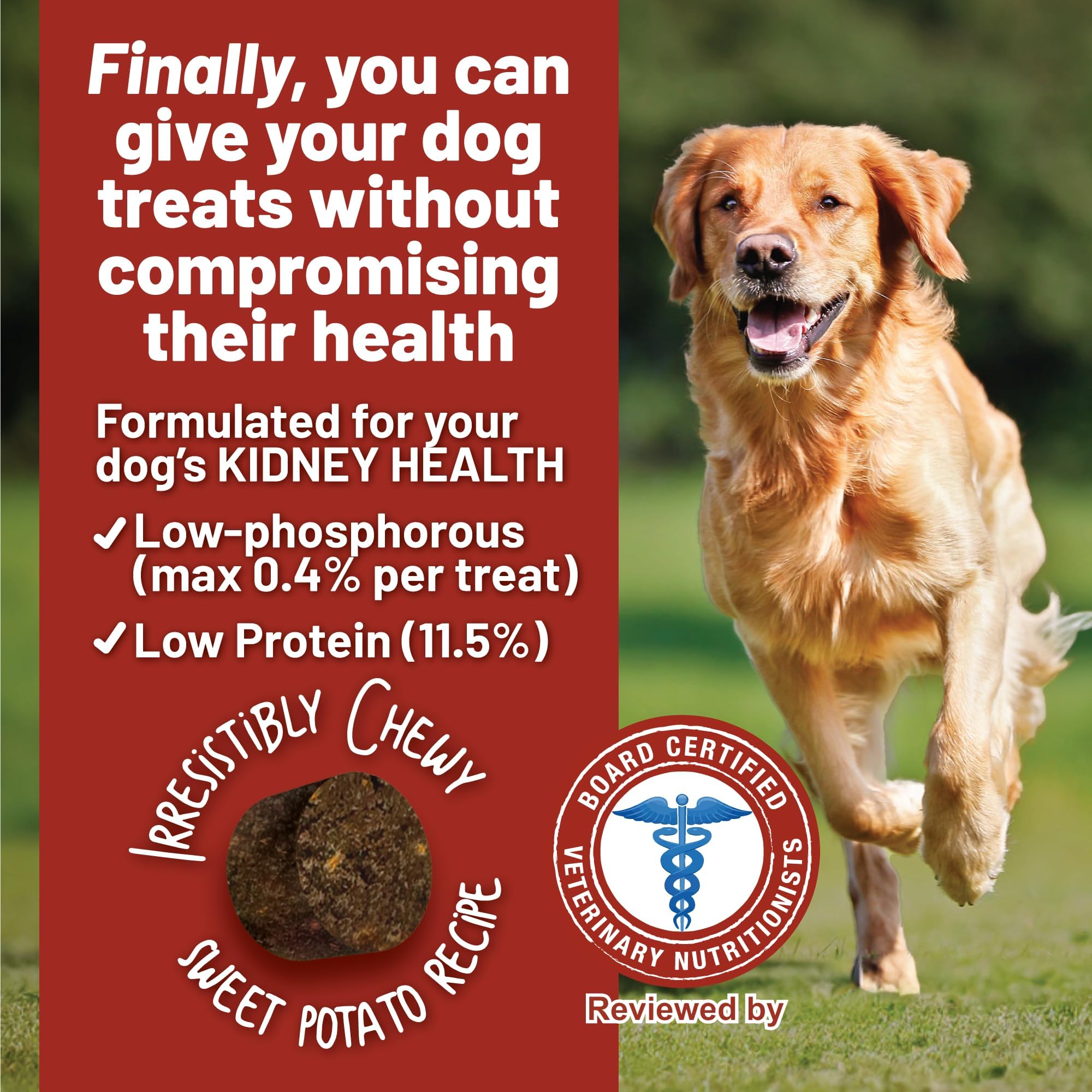 Dog enjoying a Dave's kidney treat, illustrating palatable renal-friendly snacking.