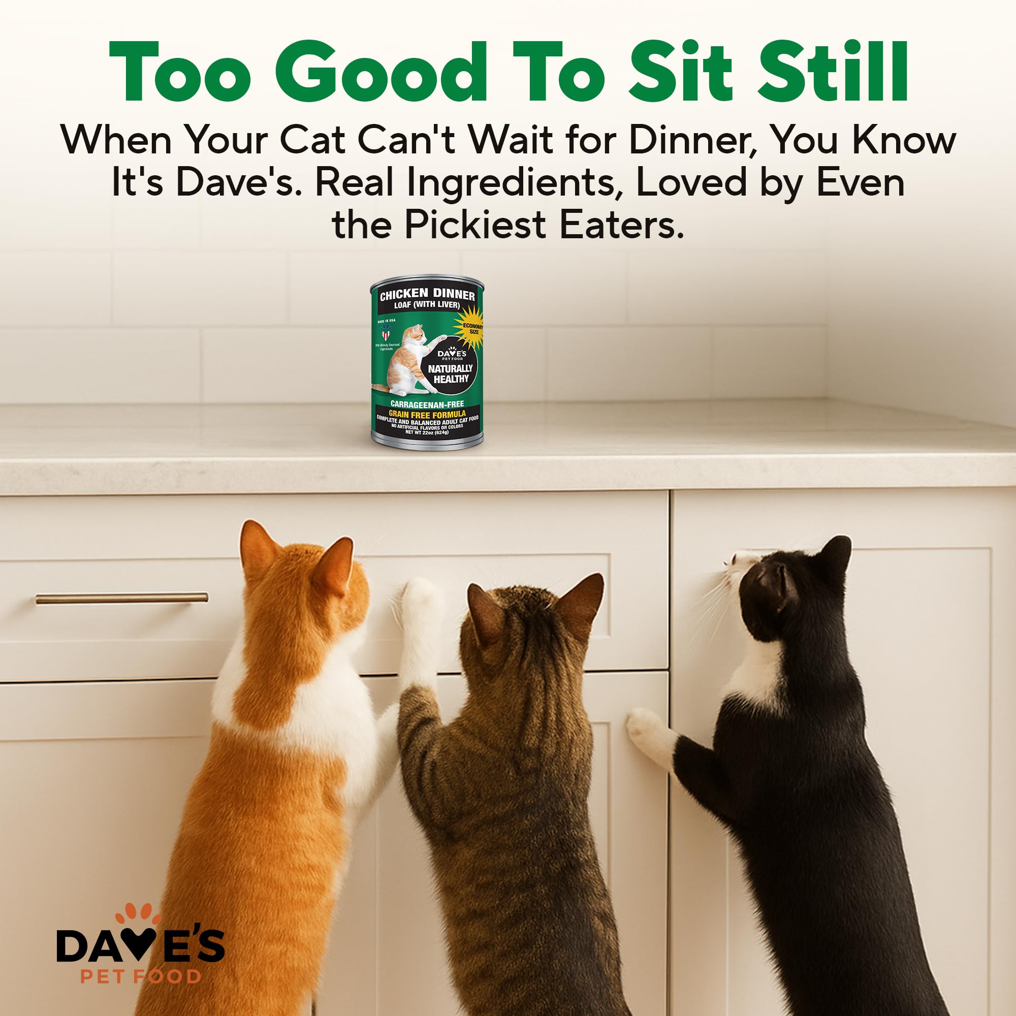 Cats enjoy dinner scene with pate dinner from Dave's Pet Food.