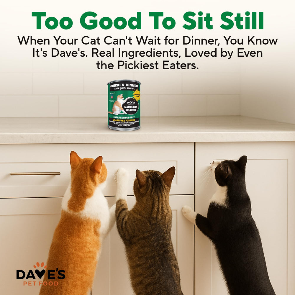 Cats enjoy dinner scene with pate dinner from Dave's Pet Food.