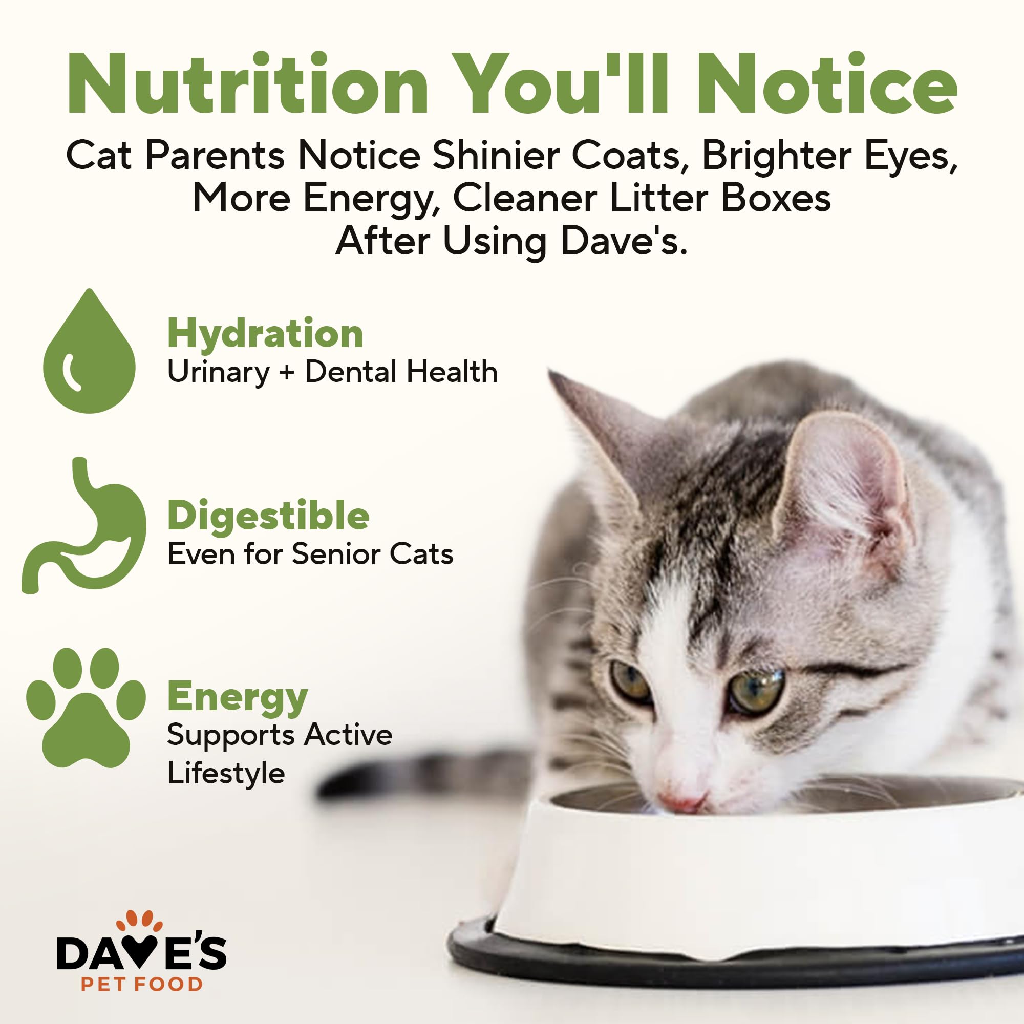 Dave's Pet Food no artificial flavors or colors on label
