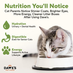 Dave's Pet Food no artificial flavors or colors on label