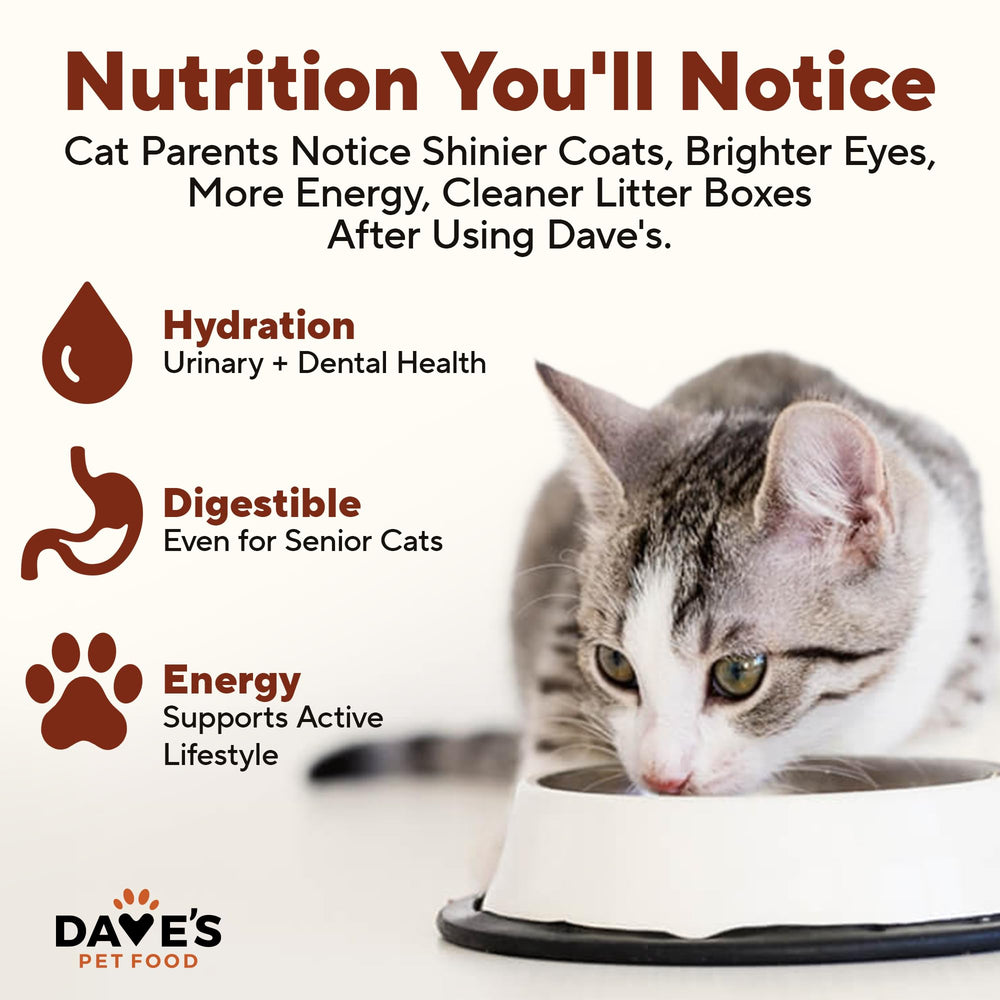 Dave's Pet Food grain-free formula with no carrageenan or artificial flavors