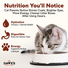 Dave's Pet Food grain-free formula with no carrageenan or artificial flavors