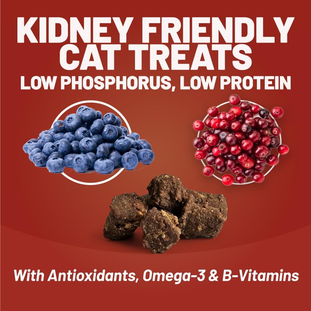 Dave's Pet Food Renal Cat Treats provide low protein and phosphorus for kidney-focused diets.
