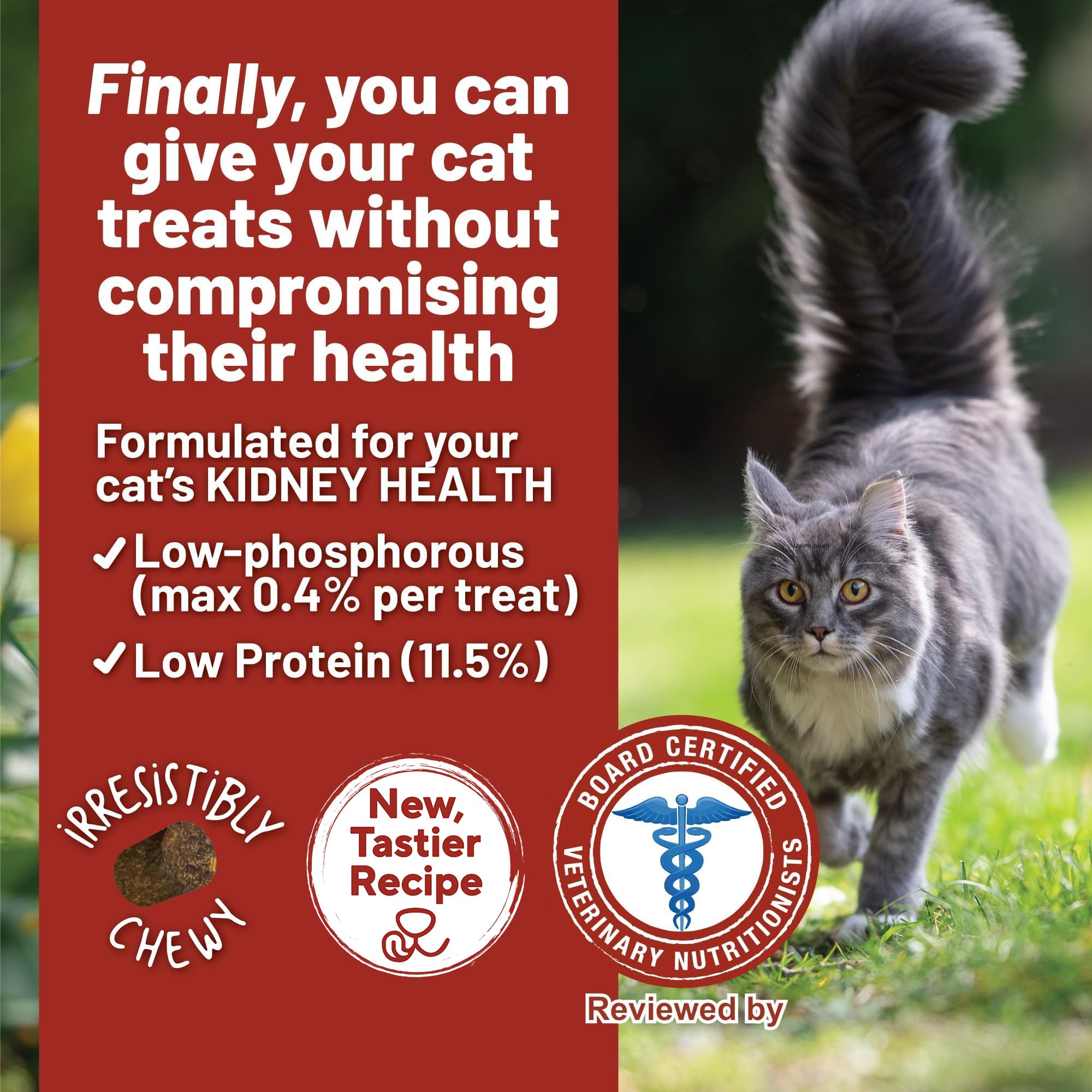 Dave's Pet Food Renal Cat Treats with prebiotic fiber supports gut health.
