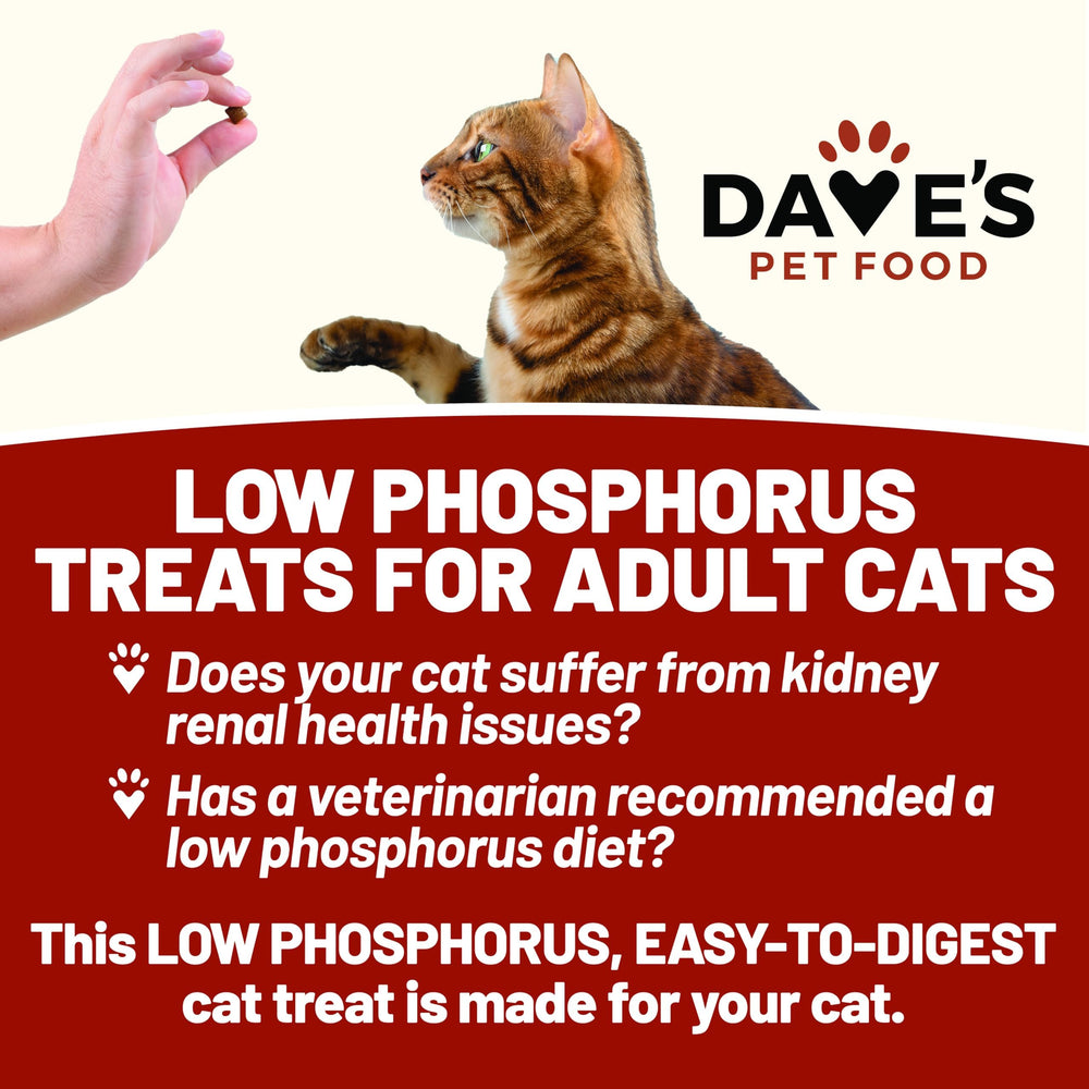 Dave's Pet Food Renal Cat Treats offer sweet potato flavor with fiber-rich nutrition.