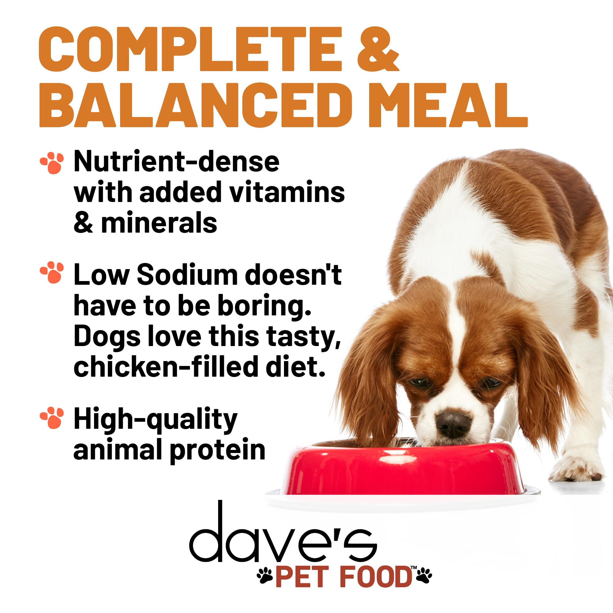Dave's Pet Food restricted sodium diet chicken pate 132-oz can close-up showing packaging.