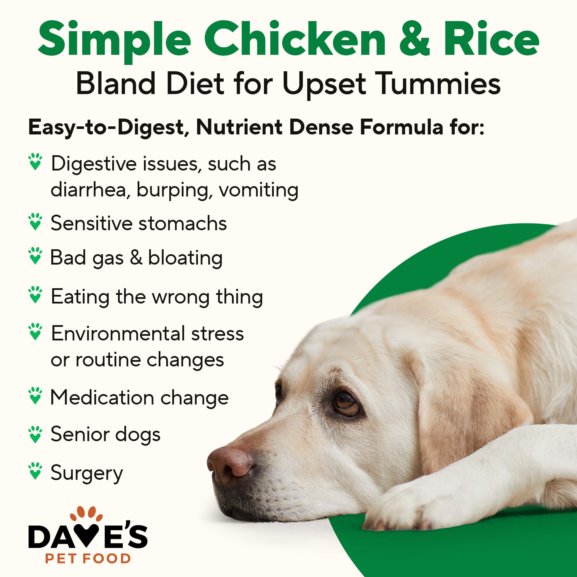 Dave's Pet Food lamb and rice canned food for sensitive stomachs and easy digestion.