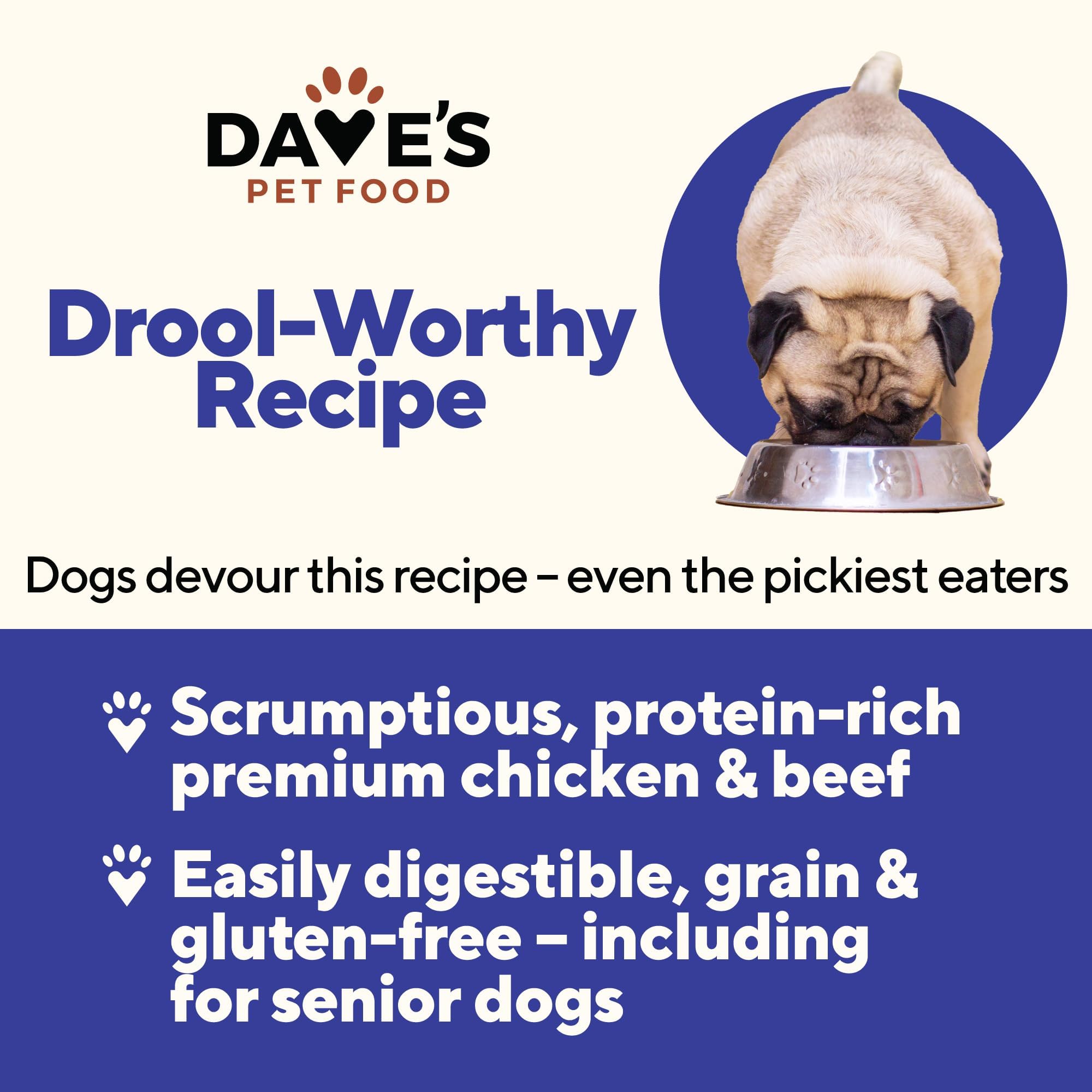 Dave's Pet Food wet dog food chicken-beef served in a bowl for a flavorful meal
