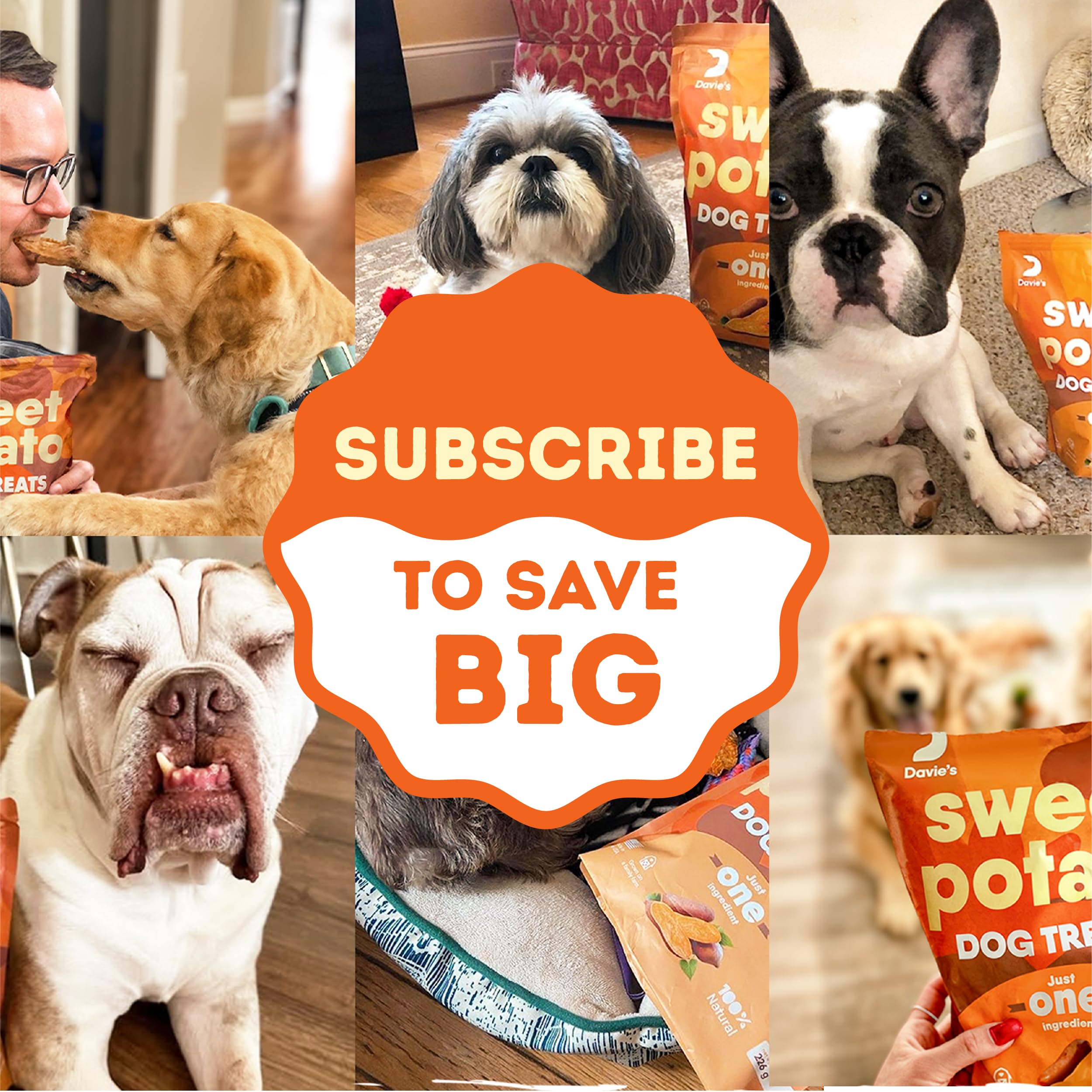 Single-ingredient option suitable for dogs with allergies from Davie's Naturals.