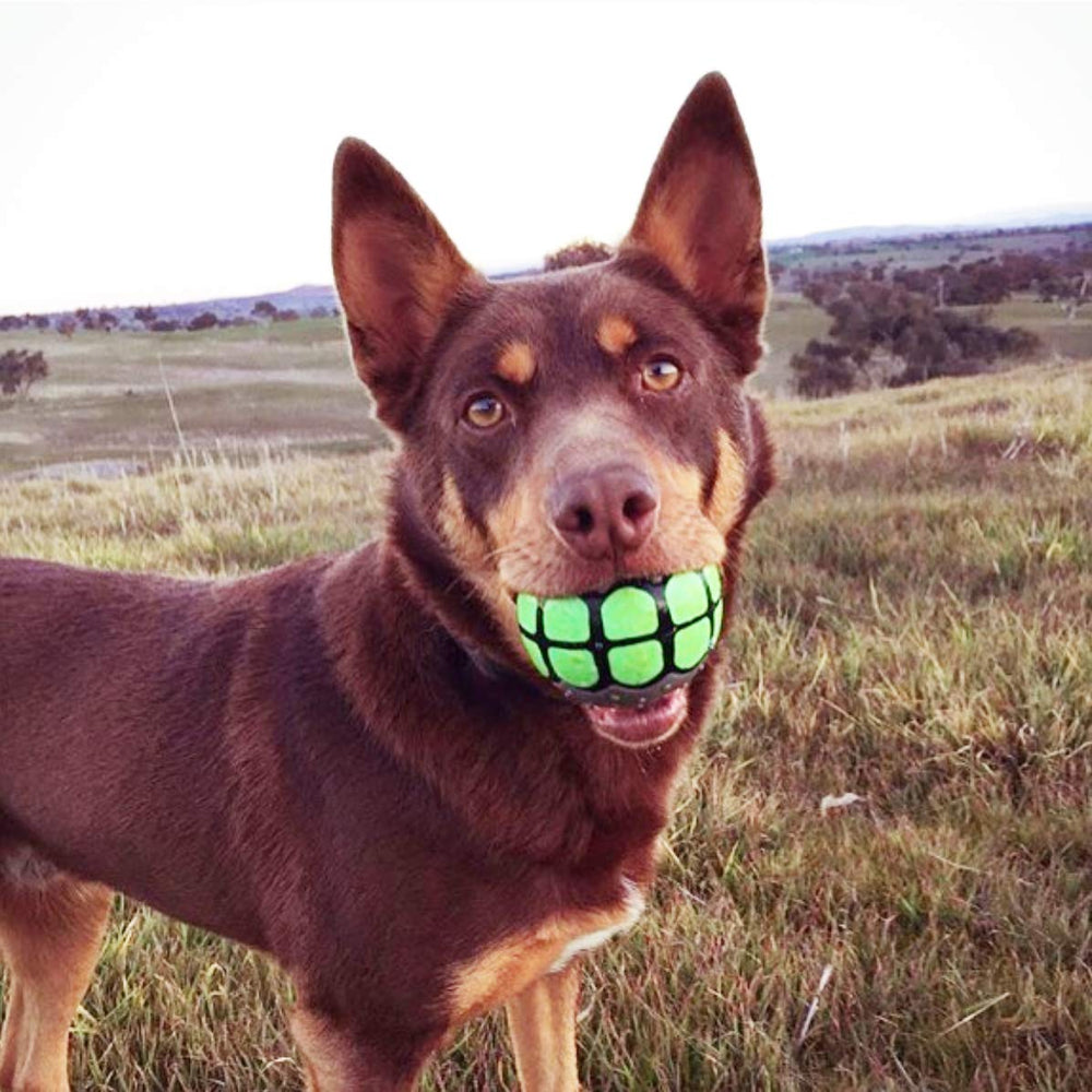 Dawg Grillz 360-degree teeth design adds visual fun and photos