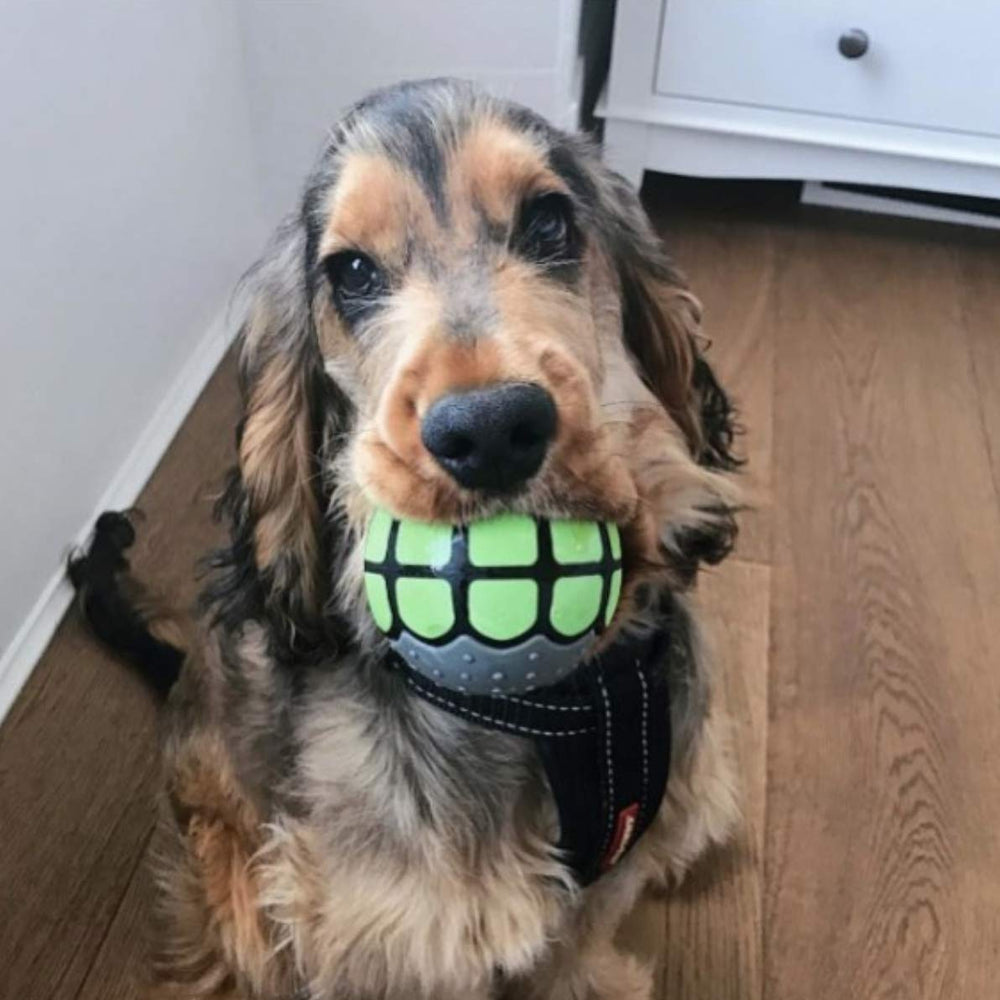 Dawg Grillz vanilla scented ball enhances sensory play and exploration