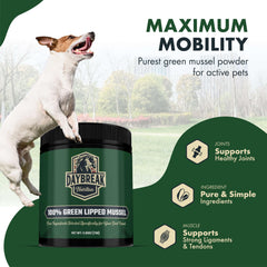Daybreak mussel powder on dog bowl for easy daily joint care