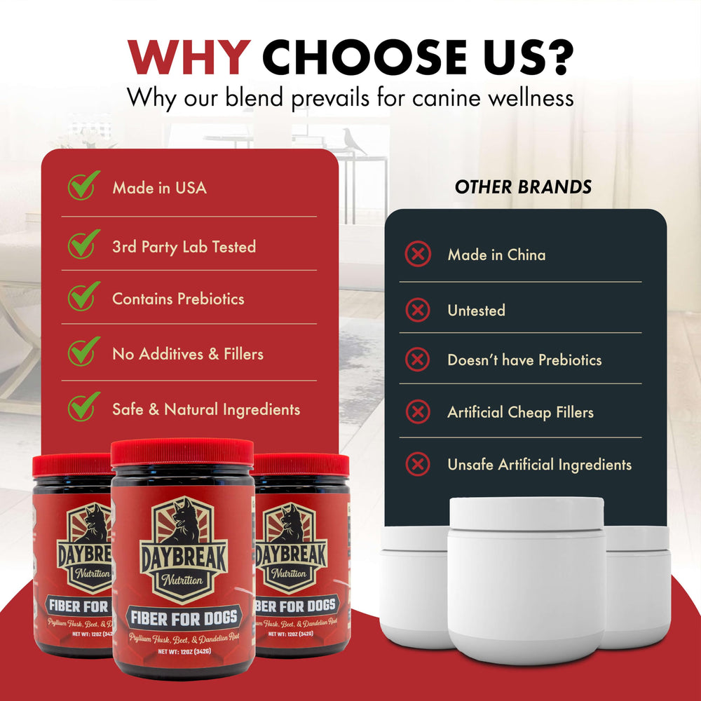 Daybreak Nutrition Fiber for Dogs with beet root flakes highlighting natural fiber sources.