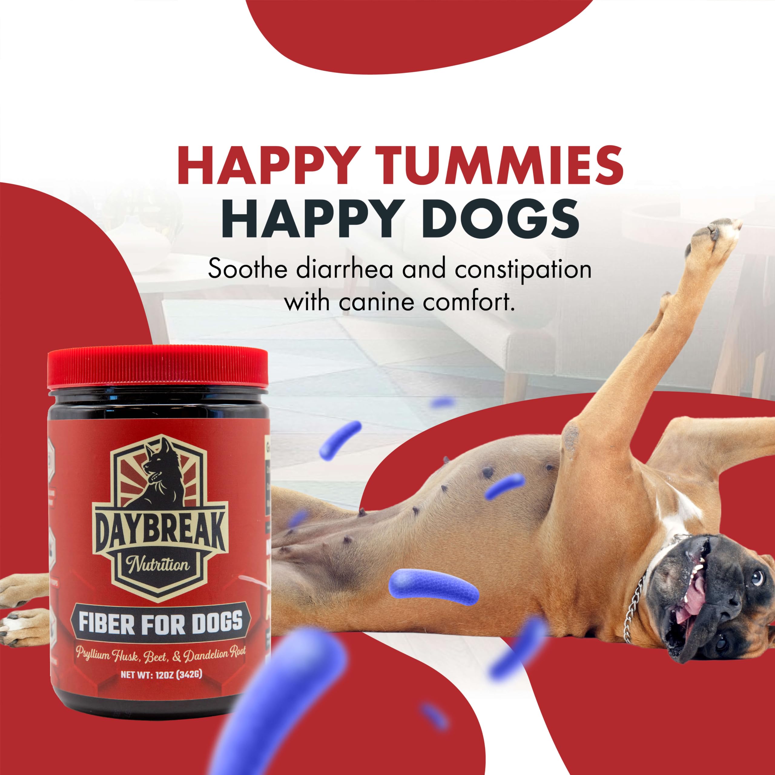 Daybreak Nutrition Fiber for Dogs prebiotics illustration to show gut-friendly formulation.