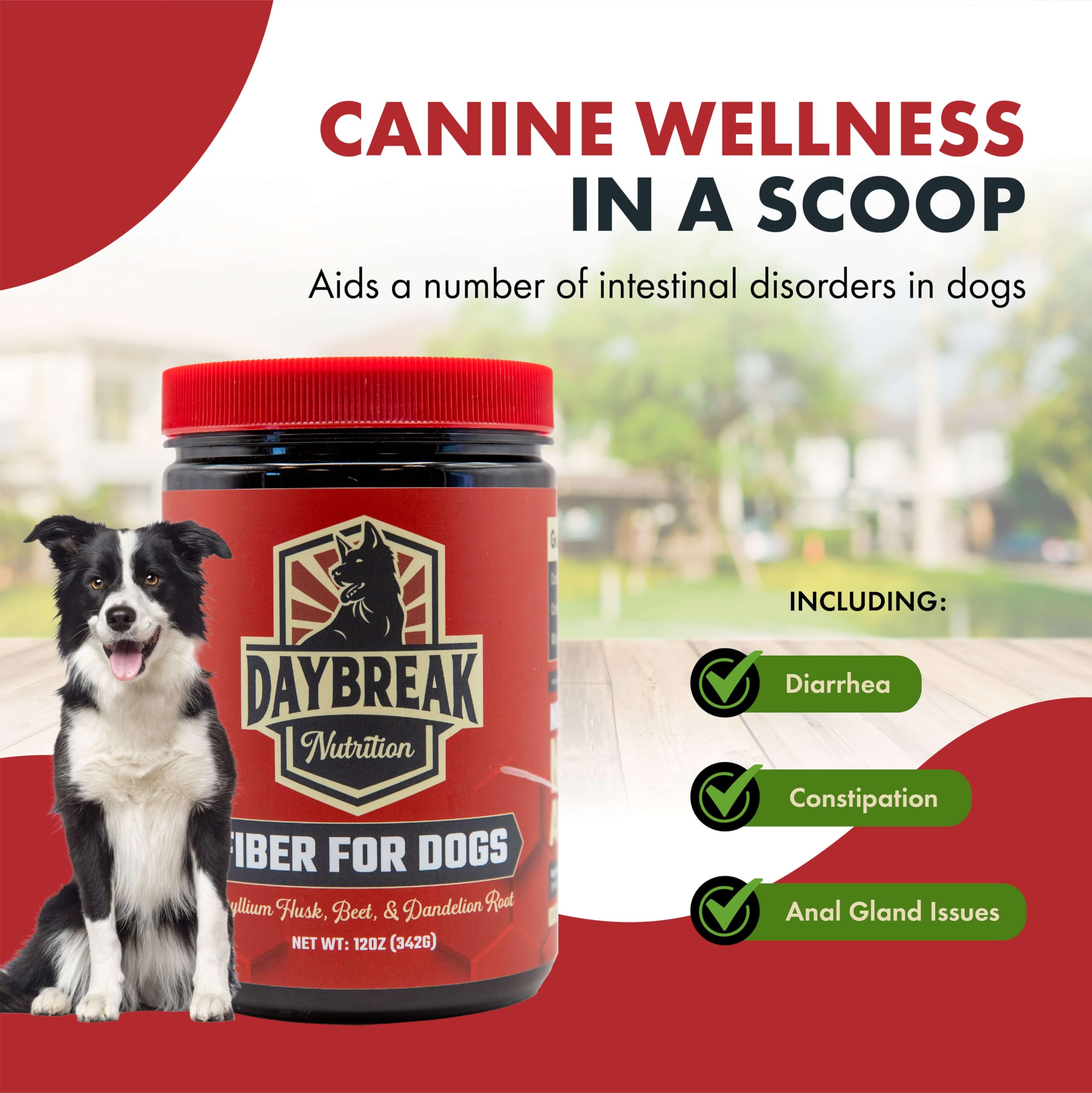 Daybreak Nutrition Fiber for Dogs scoop and powder texture for easy mixing.