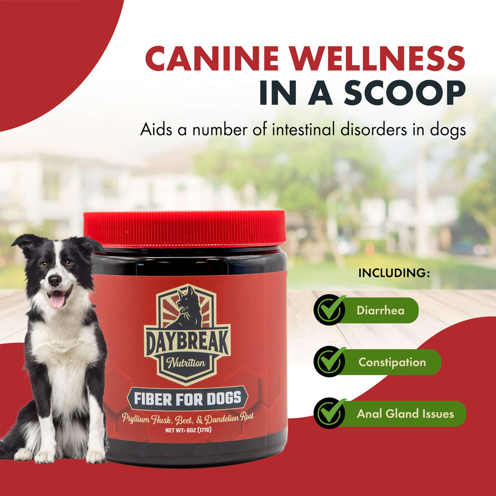 Daybreak Nutrition Fiber for Dogs digestive balance illustration