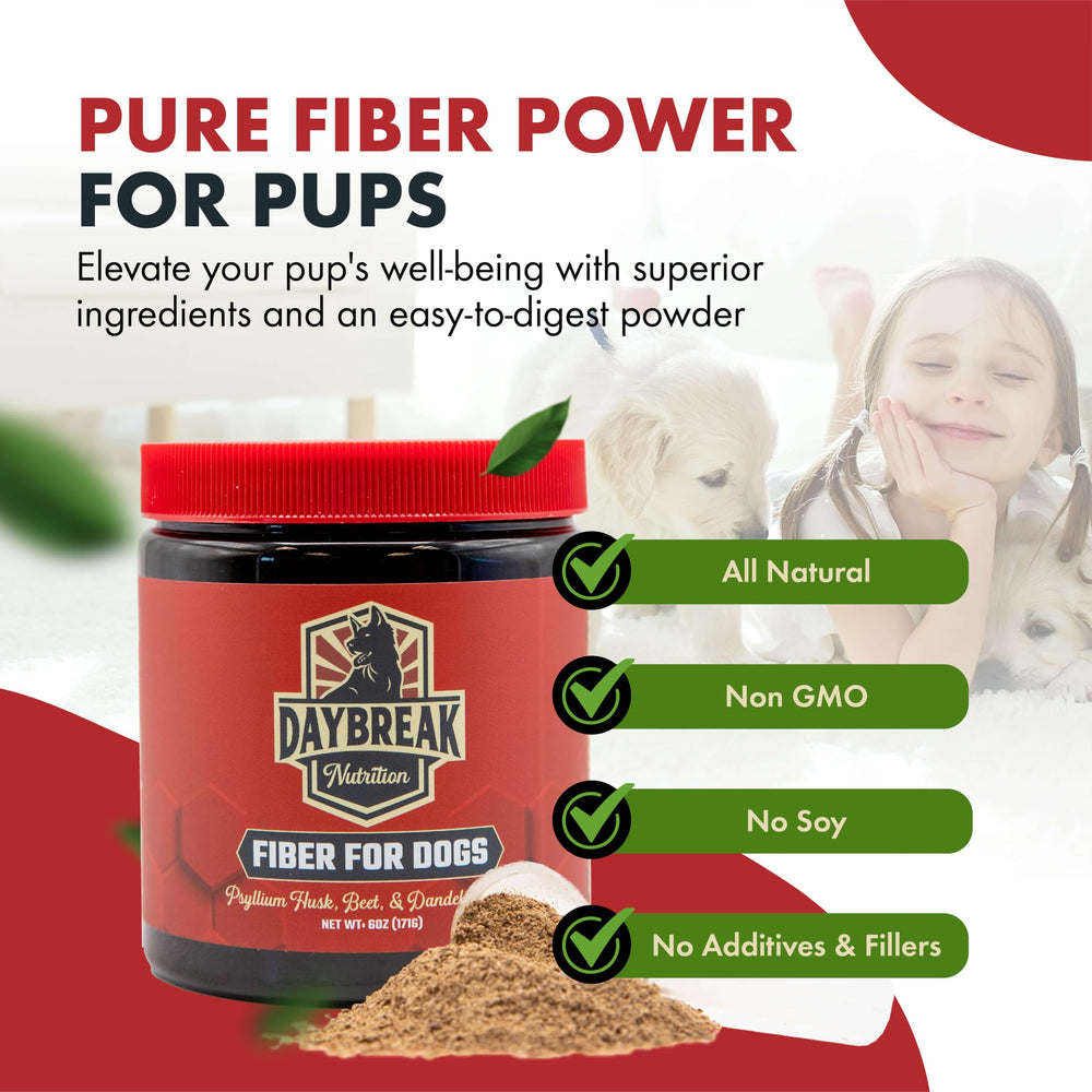 Daybreak Nutrition Fiber for Dogs dosing spoon shown for accurate servings