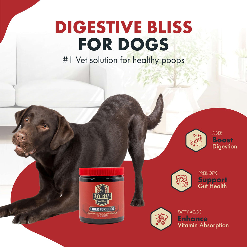 Daybreak Nutrition Fiber for Dogs ingredients display with beet root supports regularity