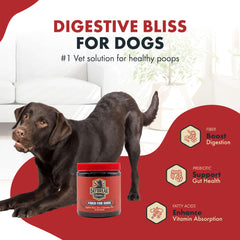 Daybreak Nutrition Fiber for Dogs ingredients display with beet root supports regularity