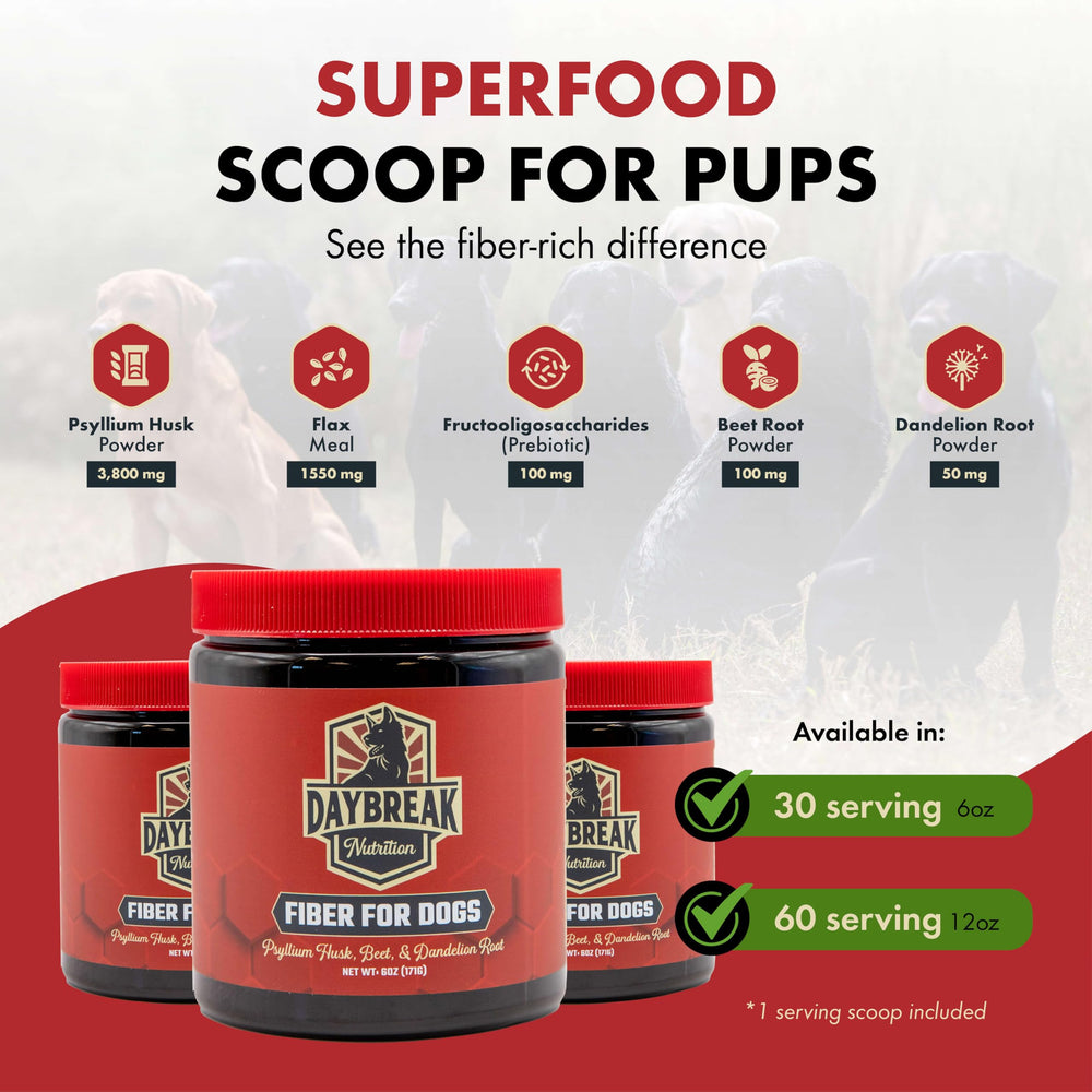 Daybreak Nutrition Fiber for Dogs prebiotics blend illustrated for gut health