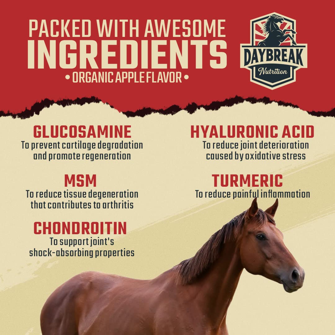 Daybreak Nutrition horse-in-training in motion illustrates use case.