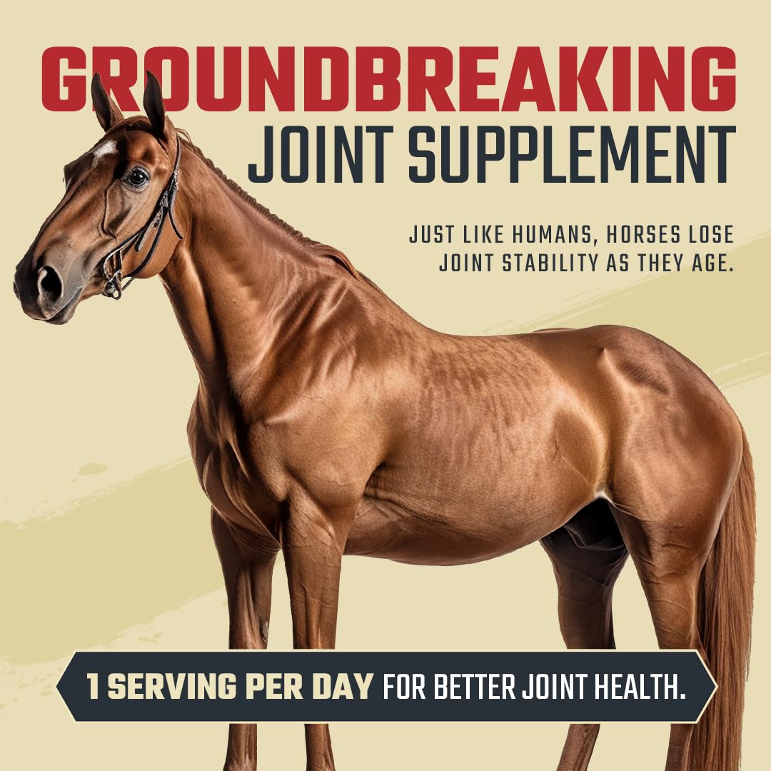 Daybreak Nutrition USA-made label signals quality manufacturing for joints.