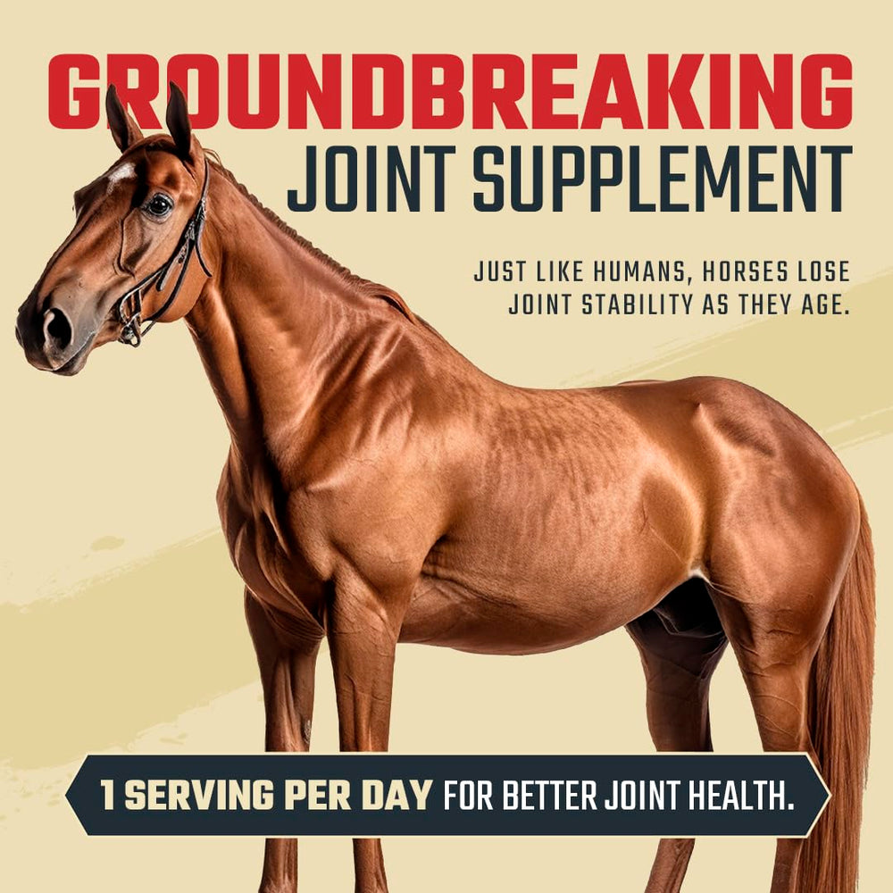 Daybreak Nutrition USA-made label signals quality manufacturing for joints.