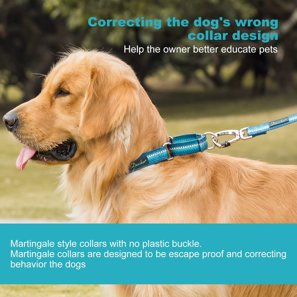Dazzber escape-prevention collar aids secure wearing for hard-headed pups.