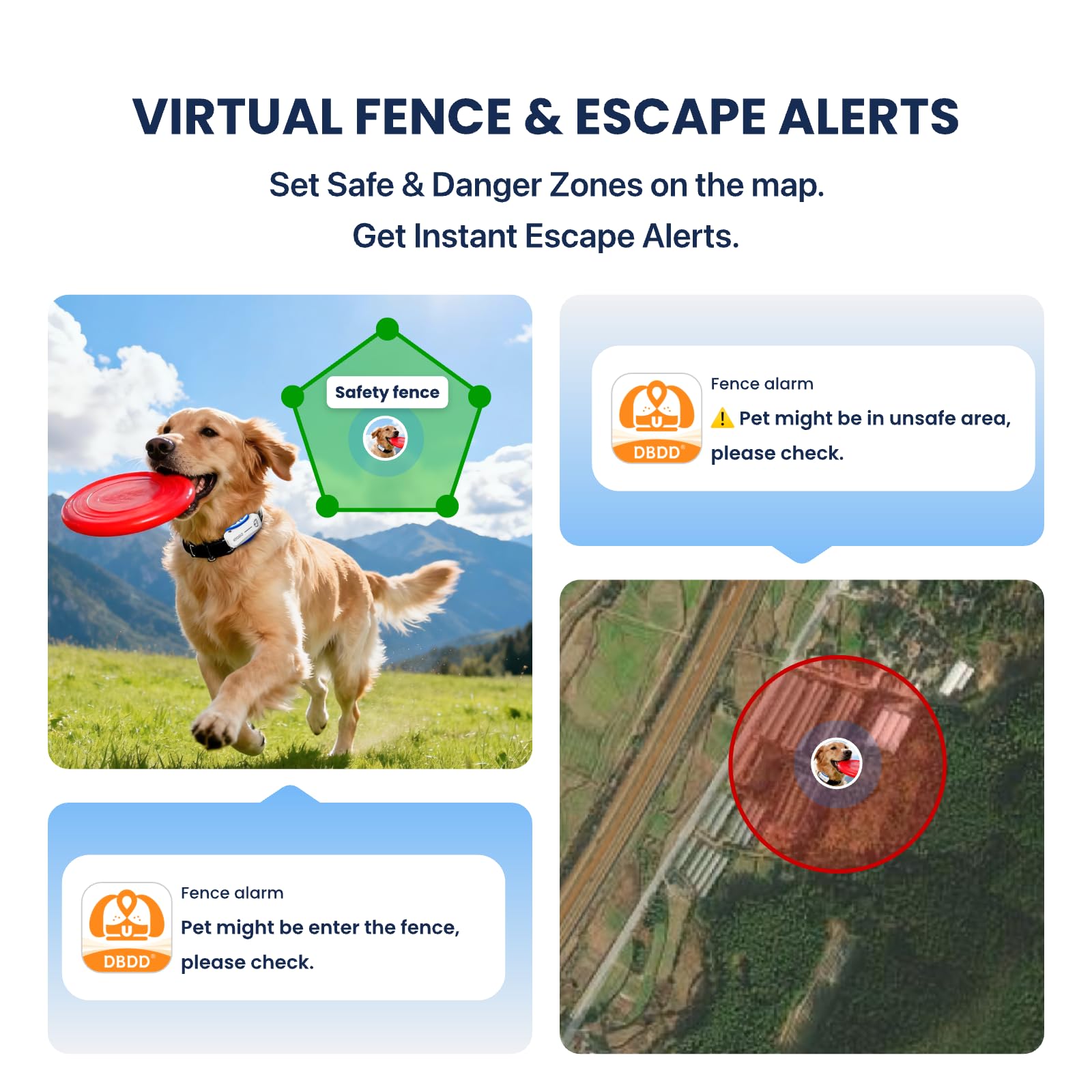 DBDD activity monitoring displaying daily exercise and distance for dogs.